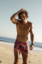BOXER ALGODÓN-LYCRA ESTAMPADO "ZINNIA"  -