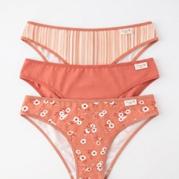 [FRA5028/E] PACK X3 VEDETINA ESPECIAL DE ALGODÓN Y LYCRA ESTAMPADA "TERRA"